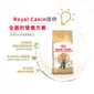 Royal Canin Royal Canin 貓糧 法國皇家貓糧 純種系列 英國短毛成貓專屬配方 BSH 4kg 4kg  側面圖