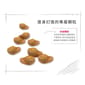Royal Canin Royal Canin 貓糧 法國皇家貓糧 純種系列 英國短毛成貓專屬配方 BSH 4kg 4kg  特寫圖