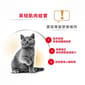 Royal Canin Royal Canin 貓糧 法國皇家貓糧 純種系列 英國短毛成貓專屬配方 BSH 2kg 2kg  正面圖
