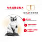 Royal Canin Royal Canin 貓糧 法國皇家貓糧 純種系列 布偶成貓專屬配方 RD 10kg 10kg  正面圖