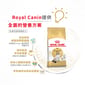 Royal Canin Royal Canin 貓糧 法國皇家貓糧 純種系列 布偶成貓專屬配方 RD 2kg 2kg  背面圖
