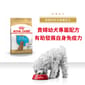 Royal Canin Royal Canin 狗糧 法國皇家狗糧 純種系列 貴婦狗幼犬專屬配方 貴婦幼犬糧 PDJ 3kg 3kg  正面圖