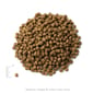Solid Solid Gold 素力高 貓糧 無穀物室內配方 三文魚味 3lb 3lb  側面圖