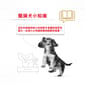 Royal Canin Royal Canin 狗糧 法國皇家狗糧 純種系列臘腸成犬糧 DS28 1.5kg 5kg  背面圖