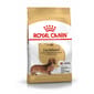 Royal Canin Royal Canin 狗糧 法國皇家狗糧 純種系列臘腸成犬糧 DS28 1.5kg 5kg  正面圖