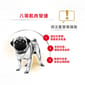 Royal Canin Royal Canin 狗糧 法國皇家狗糧 純種系列 八哥成犬專屬配方 PUG 3kg 3kg  背面圖