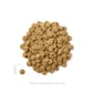 Solid Solid Gold 素力高 狗糧 成犬 羊肉配方 24lb 24lb  側面圖