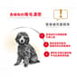 Royal Canin Royal Canin 狗糧 法國皇家狗糧 純種系列 貴婦狗成犬專屬配方 貴婦犬糧 PD30 7.5kg 5kg  背面圖
