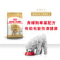 Royal Canin Royal Canin 狗糧 法國皇家狗糧 純種系列 貴婦狗成犬專屬配方 貴婦犬糧 PD30 1.5kg 5kg  正面圖