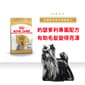 Royal Canin Royal Canin 狗糧 法國皇家狗糧 純種系列 約瑟爹利成犬專屬配方 約瑟爹利成犬糧 PRY28 1.5kg 5kg  正面圖