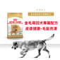 Royal Canin Royal Canin 狗糧 法國皇家狗糧 純種系列 金毛尋回成犬專屬配方 金毛尋回成犬糧 GOD 12kg 12kg  正面圖