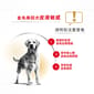 Royal Canin Royal Canin 狗糧 法國皇家狗糧 純種系列 金毛尋回成犬專屬配方 金毛尋回成犬糧 GOD 12kg 12kg  背面圖