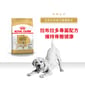 Royal Canin Royal Canin 狗糧 法國皇家狗糧 純種系列 拉布拉多成犬專屬配方 拉布拉多成犬糧 LBD30 12kg 12kg  正面圖