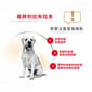Royal Canin Royal Canin 狗糧 法國皇家狗糧 純種系列 拉布拉多成犬專屬配方 拉布拉多成犬糧 LBD30 12kg 12kg  背面圖