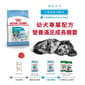 Royal Canin Royal Canin 狗糧 法國皇家狗糧 健康營養系列 小型幼犬營養配方 小型幼犬糧 APR33 2kg 2kg  正面圖