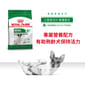 Royal Canin Royal Canin 狗糧 法國皇家狗糧 健康營養系列 小型成犬8+營養配方 小型老犬糧 8+ SPR27 8kg 8kg  正面圖