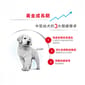 Royal Canin Royal Canin 狗糧 法國皇家狗糧 健康營養系列 中型幼犬營養配方 中型幼犬糧 AM32 4kg 4kg  背面圖