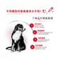 Royal Canin Royal Canin 狗糧 法國皇家狗糧 中型成犬營養配方 M25 15kg 15kg  背面圖