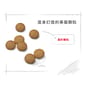 Royal Canin Royal Canin 狗糧 法國皇家狗糧 中型成犬營養配方 M25 15kg 15kg  特寫圖