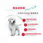 Royal Canin Royal Canin 狗糧 法國皇家狗糧 健康營養系列 大型幼犬營養配方 大型幼犬糧 AGR32 4kg 4kg  正面圖