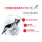 Royal Canin Royal Canin 狗糧 法國皇家狗糧 大型成犬營養配方 GR26 15kg 15kg  背面圖