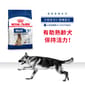 Royal Canin Royal Canin 狗糧 法國皇家狗糧 大型成犬5+營養配方 MAXI Adult 5+ 15kg 15kg  正面圖