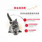 Royal Canin Royal Canin 貓糧 法國皇家貓糧 純種系列 英國短毛幼貓專屬配方 KBSH38 10kg 10kg  背面圖