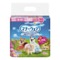 Unicharm Unicharm ⺟⽝⽤禮儀褲-SSS-碼 1.5-3.5kg 15-25cm 42片 5kg  正面圖
