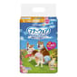 Unicharm Unicharm ⺟⽝⽤禮儀褲-L-碼 8-12kg 40-55cm 32片 12kg  正面圖