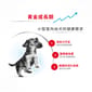 Royal Canin Royal Canin 狗糧 法國皇家狗糧 室內小型幼犬營養配方 ILJ 1.5kg 5kg  背面圖