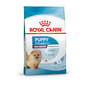 Royal Canin Royal Canin 狗糧 法國皇家狗糧 室內小型幼犬營養配方 ILJ 1.5kg 5kg  正面圖
