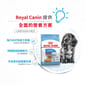 Royal Canin Royal Canin 狗糧 法國皇家狗糧 室內小型幼犬營養配方 ILJ 1.5kg 5kg  背面圖