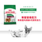 Royal Canin Royal Canin 狗糧 法國皇家狗糧 健康營養系列 室內小型老犬營養配方 室內小型老犬配方 ILS 3kg 3kg  正面圖