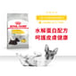Royal Canin Royal Canin 狗糧 法國皇家狗糧 加護系列 小型犬皮膚舒緩加護配方 小型犬皮膚敏感專用配方 DCMI 3kg 3kg  正面圖
