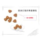 Royal Canin Royal Canin 狗糧 法國皇家狗糧 健康營養系列 超小型老犬12+營養配方 XSA 12+ 1.5kg 5kg  特寫圖