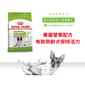 Royal Canin Royal Canin 狗糧 法國皇家狗糧 超小型成犬8+營養配方 XSS 3kg 3kg  正面圖