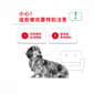 Royal Canin Royal Canin 狗糧 法國皇家狗糧 小型犬消化道腸胃加護配方 DGMI 3kg 3kg  背面圖