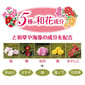 Petio Petio 日本製 和彩美花 氨基酸護理 花香低刺激洗毛液  480ml 480ml 犬用 背面圖
