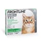 FRONTLINE FRONTLINE Plus for Cats & Kittens 貓用殺蝨滴  貓用 正面圖
