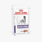 Royal Canin Royal Canin 處方糧 法國皇家 狗濕糧 熟齡犬配方 85g 85g  正面圖