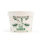 King King Catnip 貓玩具 Cat Garden ⾃種貓草 12g 12g  正面圖