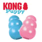 KONG KONG Puppy Small 8cm   正面圖