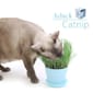 Aduck Aduck 玩具嚴選 Catnip DIY 種植天然吐毛球小麥草套裝   正面圖