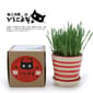 Vicky Vicky 自家種植天然吐毛球小麥草套裝   正面圖