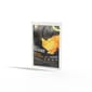 Nutrience Nutrience SUBZERO PraserValley Cat 試食裝 30g 30g  正面圖