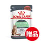 Royal Canin Royal Canin 法國皇家 貓濕糧 成貓消化道加護主食濕糧  3104800 85g 85g  正面圖