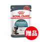 Royal Canin Royal Canin 法國皇家 貓濕糧 成貓去毛球加護主食濕糧  3106600 85g 85g  正面圖
