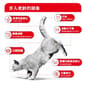 Royal Canin Royal Canin 貓糧 法國皇家貓糧 FHN 老齡貓11+ 營養配方 2kg 2kg  正面圖