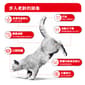 Royal Canin Royal Canin 貓糧 法國皇家貓糧 FHN 老齡貓11+ 營養配方 4kg 4kg  正面圖