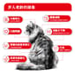Royal Canin Royal Canin 法國皇家 貓濕糧 FHN 老齡貓15+ 主食濕糧  85g 85g  正面圖